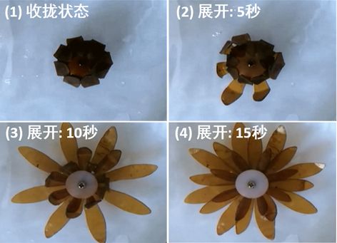 哈工大科研团队实现中国国旗首次在火星展开