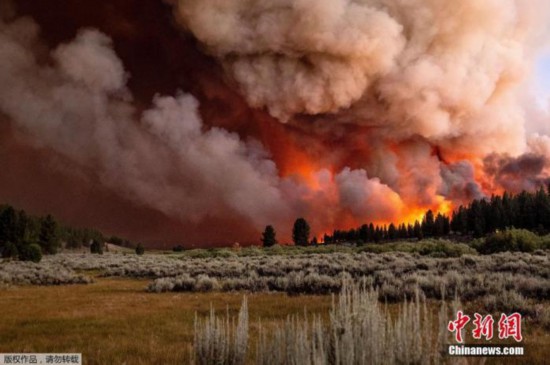 當地時間7月8日，美國加州，貝克沃斯綜合火災一部分的“糖火”在普盧馬斯國家森林蔓延。圖為山火煙霧漫天。