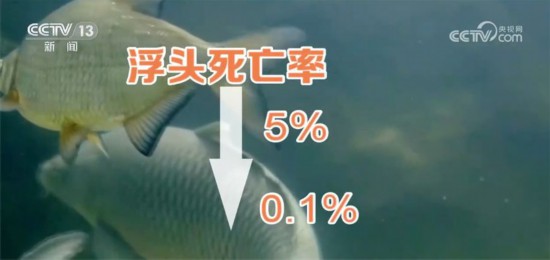 澳门人·威尼斯(中国)官方网站科技推动力助力养鱼实现新模式 数字渔业应用前景广阔(图6)