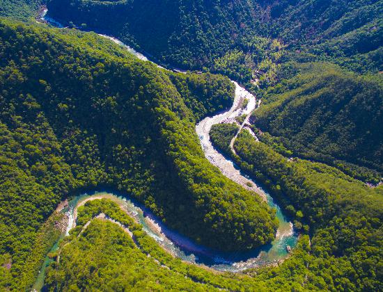 俯视福建武夷山国度公园，满目苍翠。黄海 摄