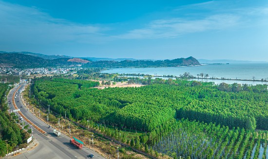 位于昆明市晋宁区的南滇池国度湿地公园，在夏令展现渴望盎然。朱光旭摄