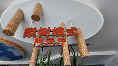 图为“梨树模式”展示厅内展示的玉米种子。门杰伟摄