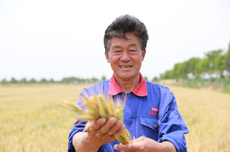 【大时代】滁州：改革发源地再当新时代先锋一桥通达长三角发展快车道