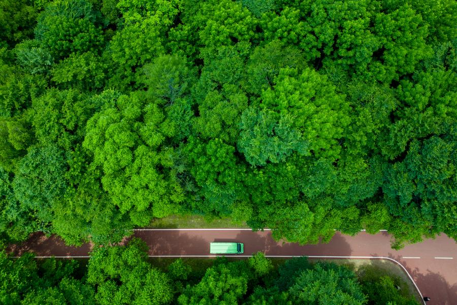 7月11日，游客乘坐電瓶車在黑龍江省伊春市上甘嶺溪水國家森林公園內穿行（無人機照片）。新華社記者 張濤 攝