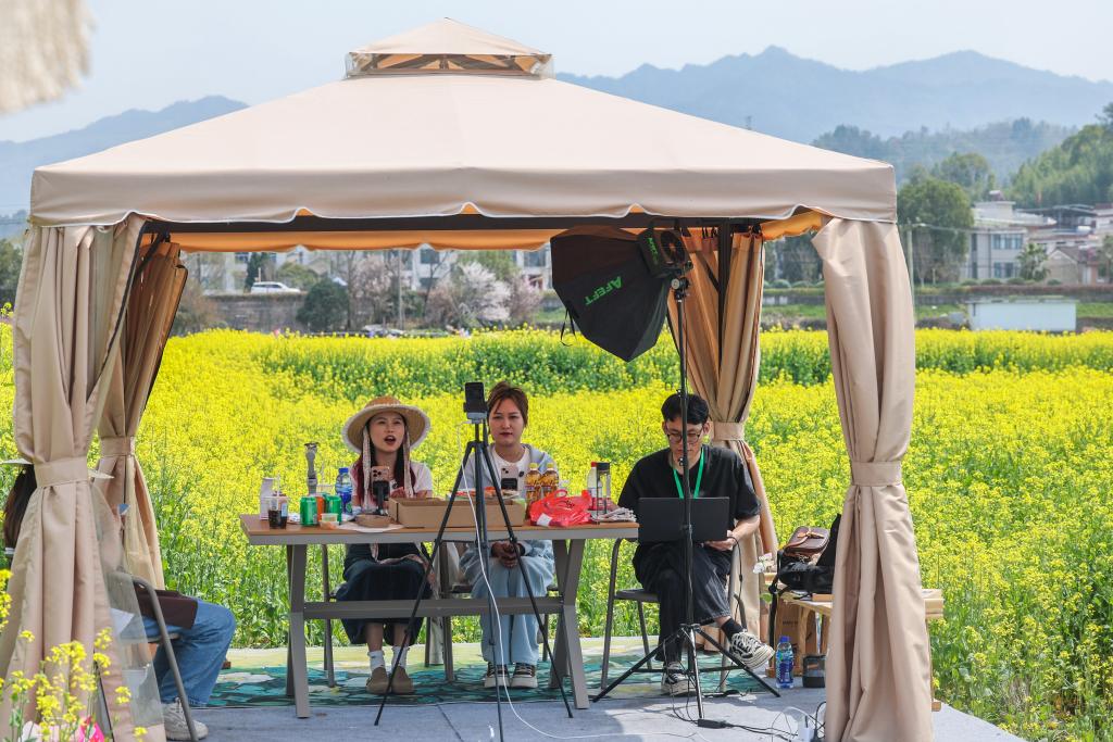 3月23日，主播在浙江建德更楼街道城南城市田园油菜花田边的直播间内推介当地文旅项目。新华社记者 徐昱 摄