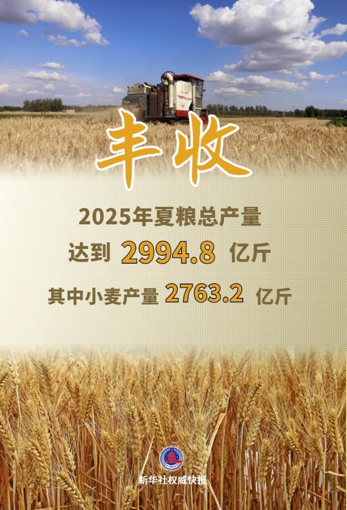 294.8亿吉恩！ 2025标签 - 加热“卡报告”已发布